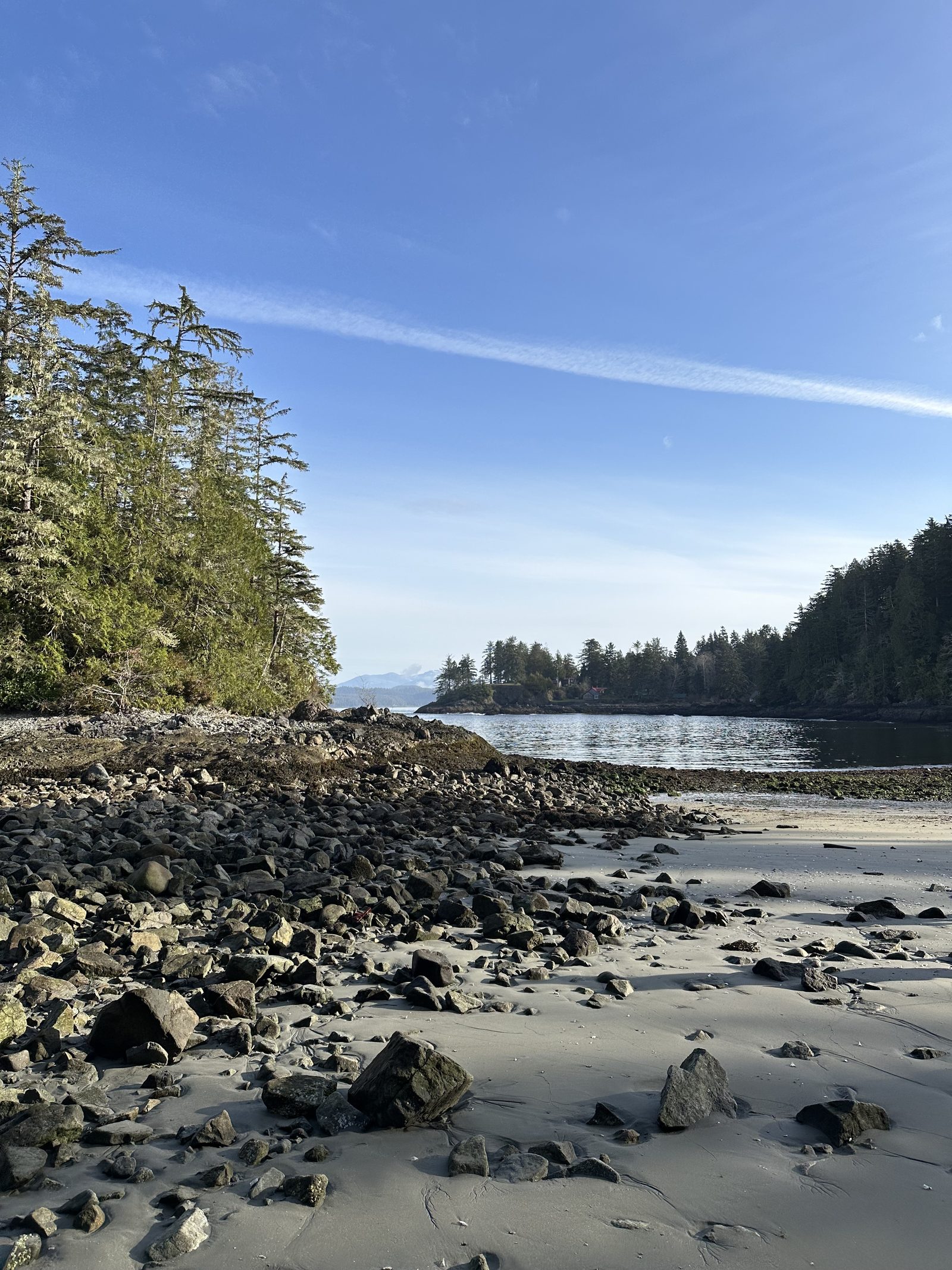 Quiet rocky beach on the Bamfield coast at low tide, looking out across the inlet
