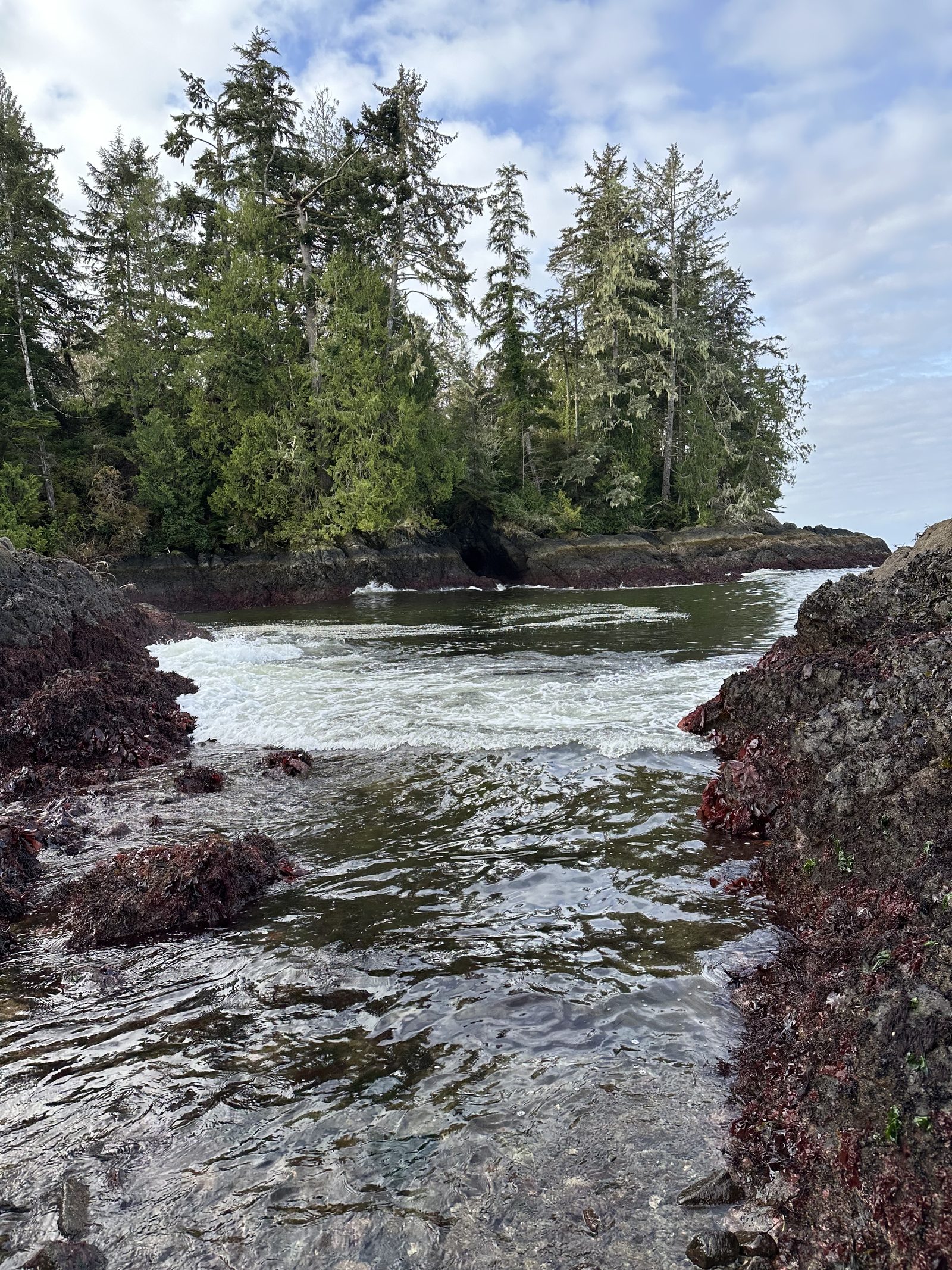 Tidal surge channel rushing between rocks framed by old-growth conifers